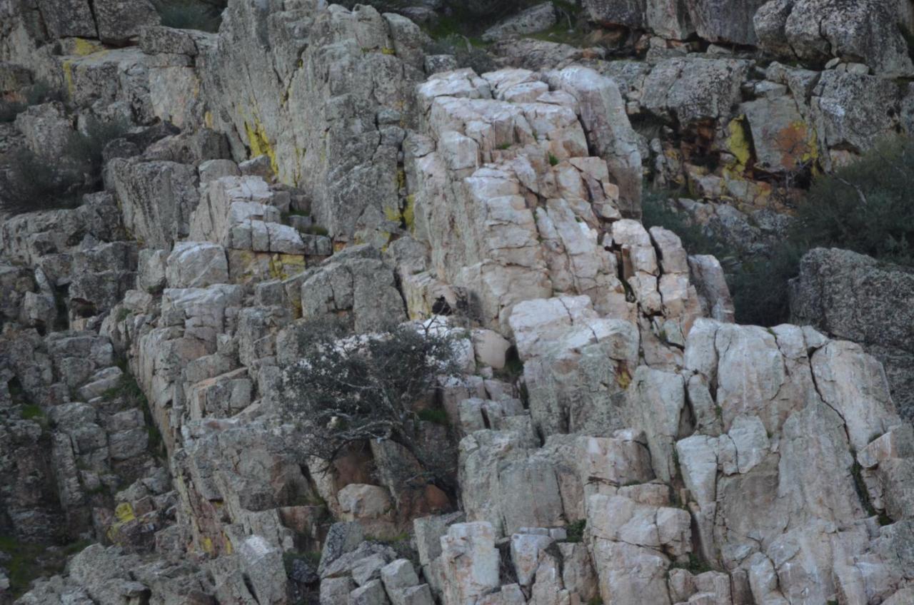 Alojamiento La Canada Monfrague Torrejón el Rubio Exteriör bild